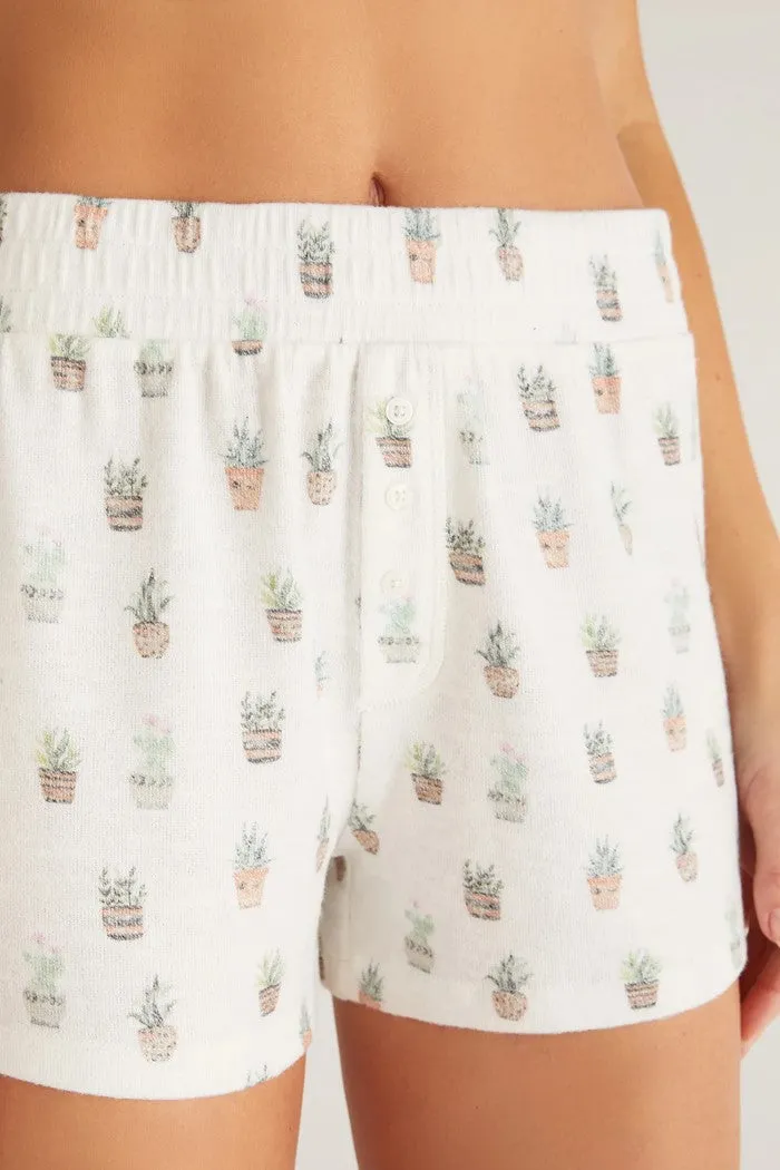 Hazy Plant Short