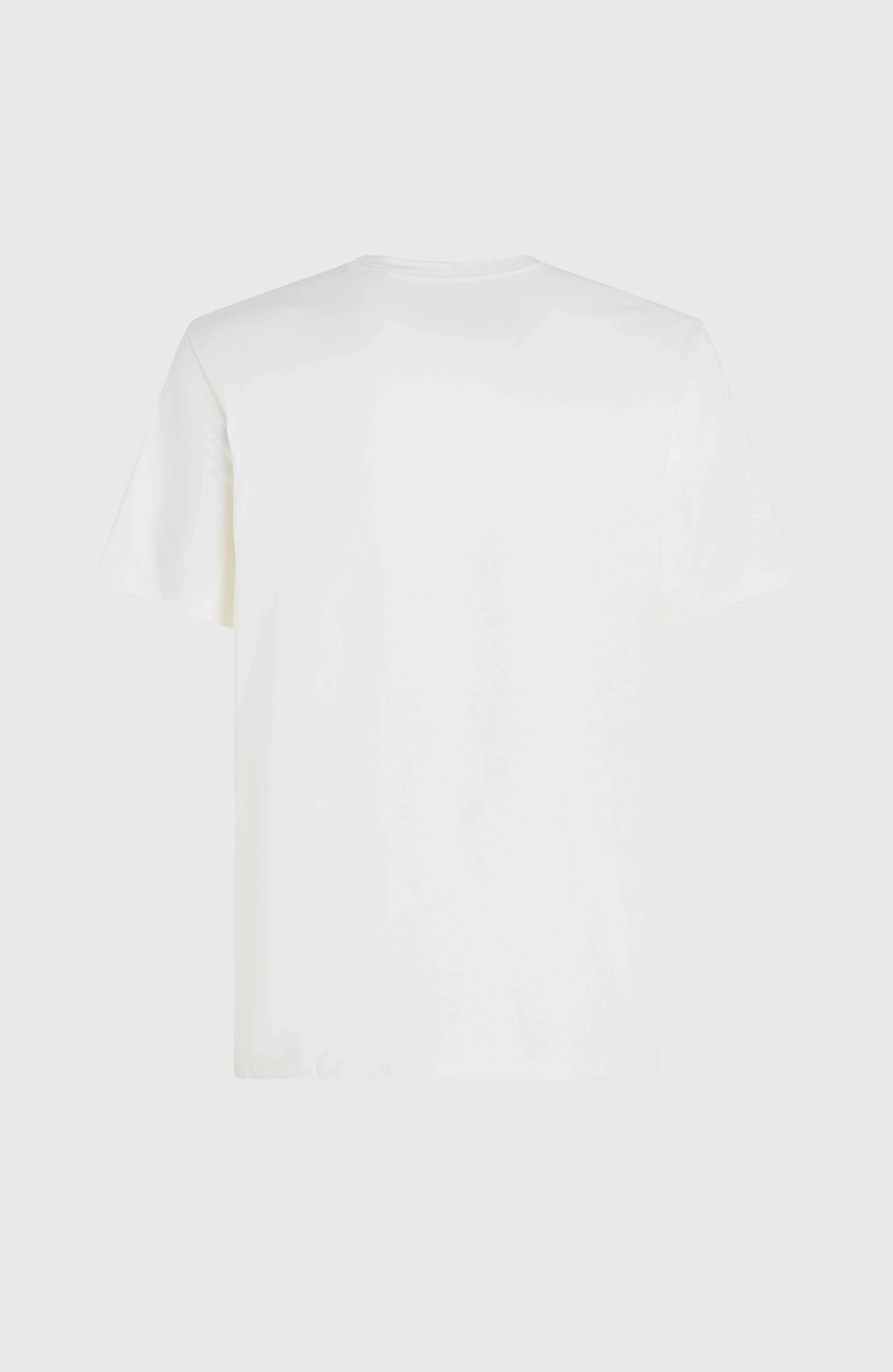 O'Neill TRVLR Series Pacific Polygiene T-Shirt | Snow White